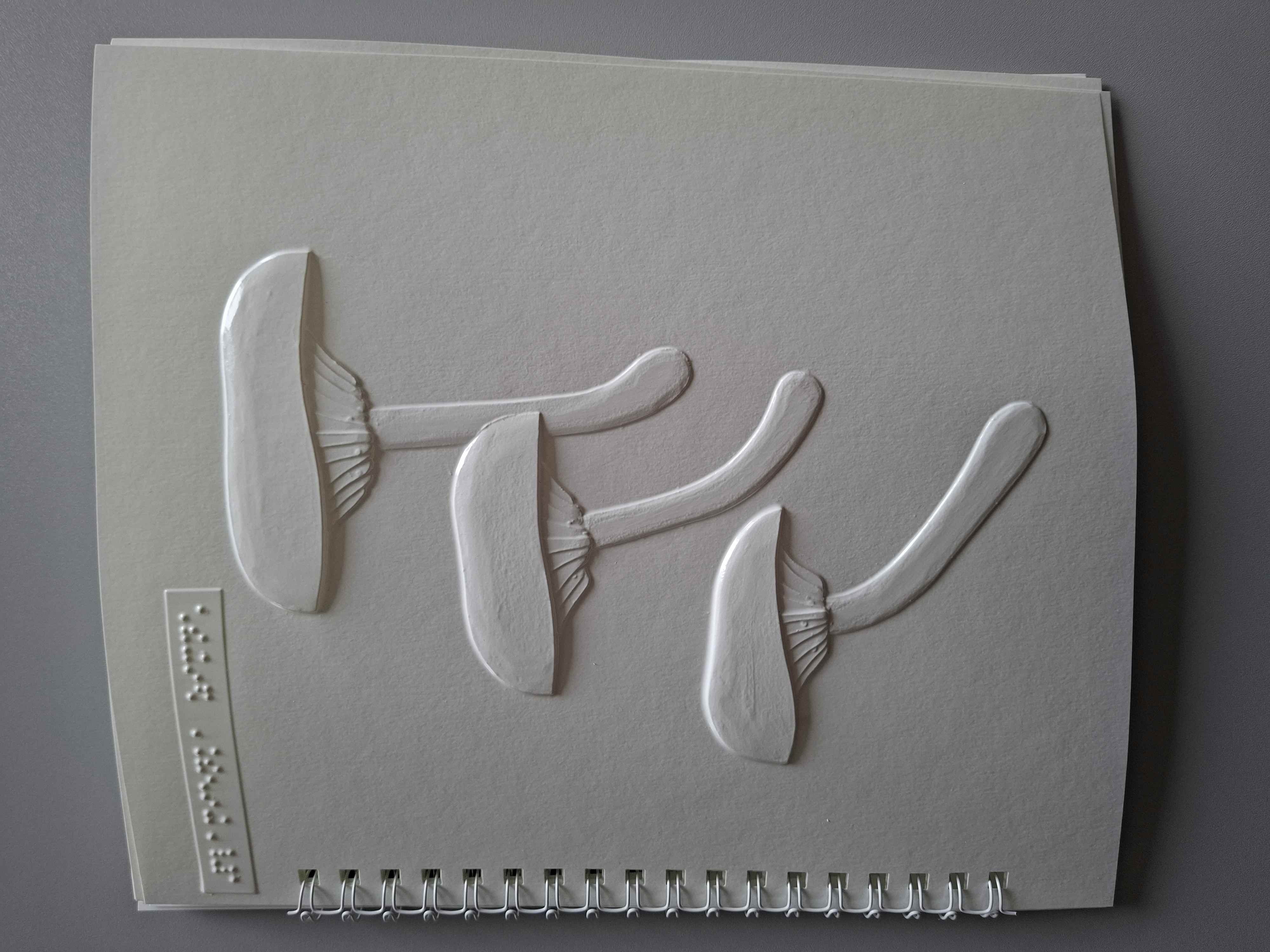 Na obrázku sú tri reliéfne huby s klobúčikmi a hlúbikmi (jedna väčšia hore, dve menšie pod ňou). Vľavo hore je malý štítok s braillovým písmom.